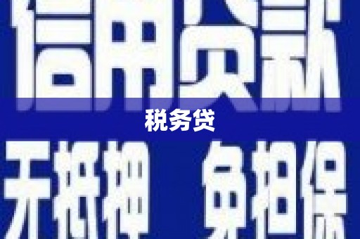 青河税务贷