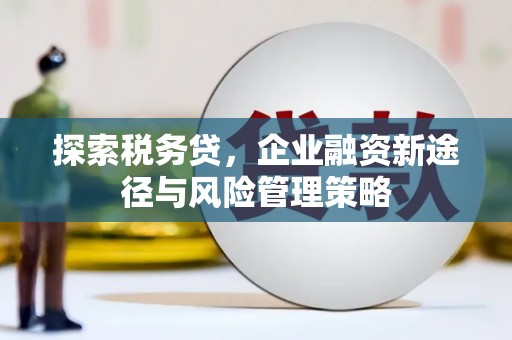 青河探索税务贷，企业融资新途径与风险管理策略