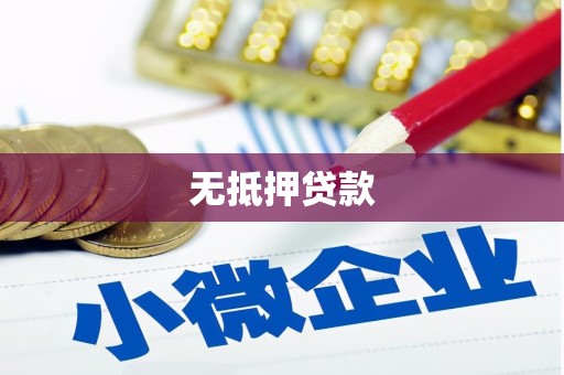 青河无抵押贷款