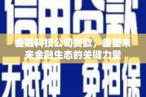 青河金融科技公司贷款，重塑未来金融生态的关键力量