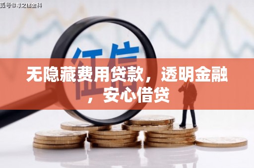 青河无隐藏费用贷款，透明金融，安心借贷
