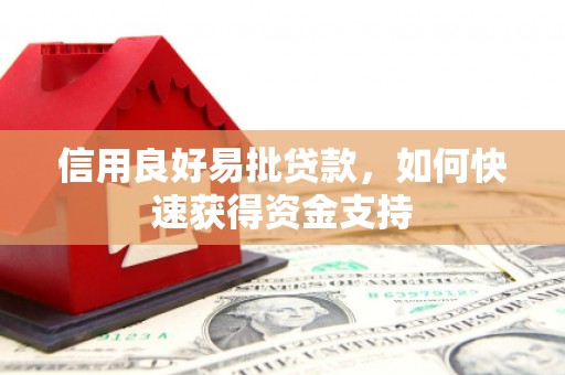 青河信用良好易批贷款，如何快速获得资金支持