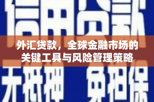 青河外汇贷款，全球金融市场的关键工具与风险管理策略