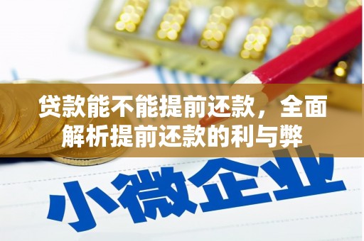 青河贷款能不能提前还款，全面解析提前还款的利与弊