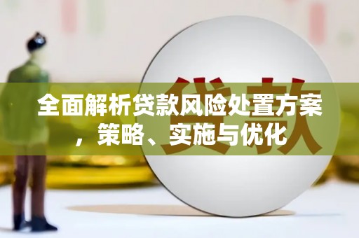 青河全面解析贷款风险处置方案，策略、实施与优化