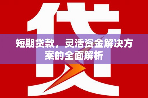 青河短期贷款，灵活资金解决方案的全面解析