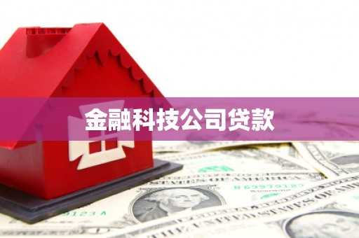 青河金融科技公司贷款