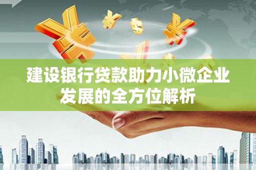 青河建设银行贷款助力小微企业发展的全方位解析