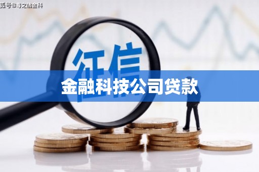 青河金融科技公司贷款