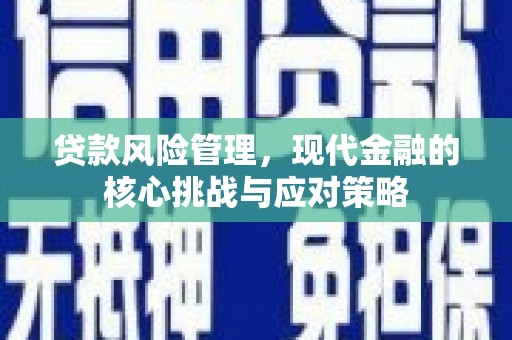 青河贷款风险管理，现代金融的核心挑战与应对策略