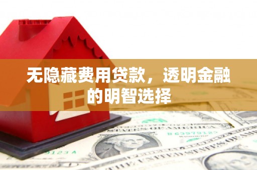 青河无隐藏费用贷款，透明金融的明智选择