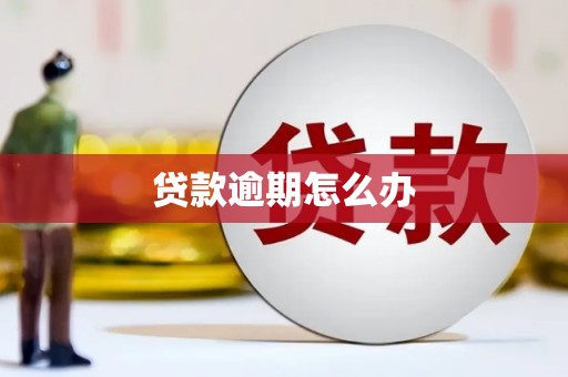 青河贷款逾期怎么办