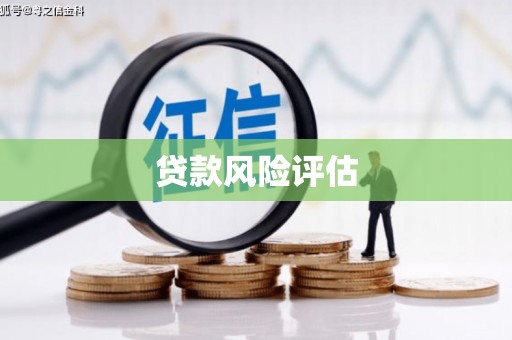青河贷款风险评估