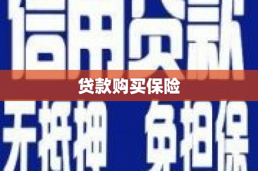 青河贷款购买保险
