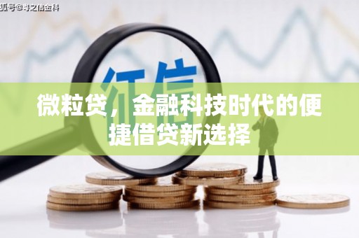 青河微粒贷，金融科技时代的便捷借贷新选择