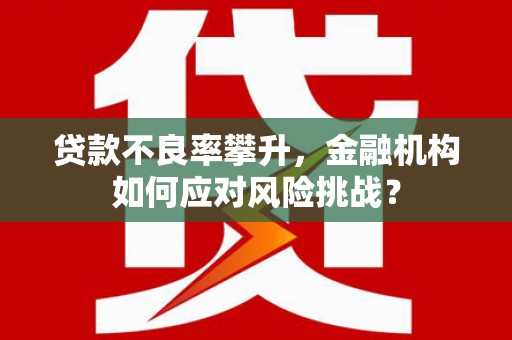 青河贷款不良率攀升，金融机构如何应对风险挑战？