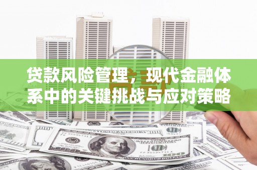 青河贷款风险管理，现代金融体系中的关键挑战与应对策略