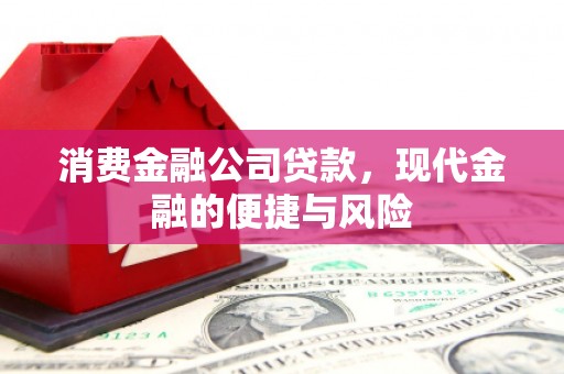 青河消费金融公司贷款，现代金融的便捷与风险