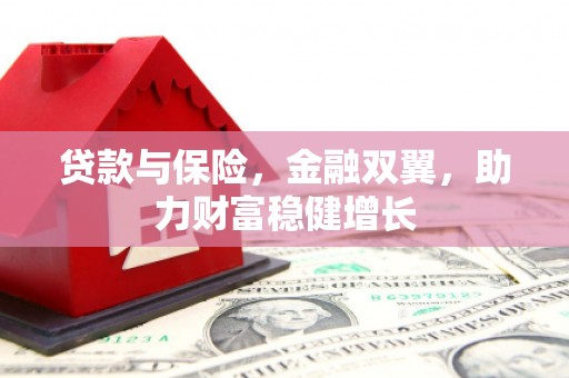 青河贷款与保险，金融双翼，助力财富稳健增长