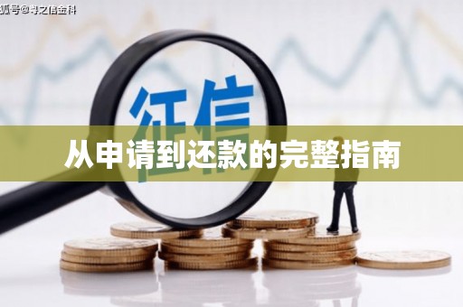 青河从申请到还款的完整指南