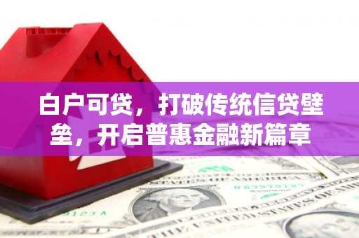 青河白户可贷，打破传统信贷壁垒，开启普惠金融新篇章