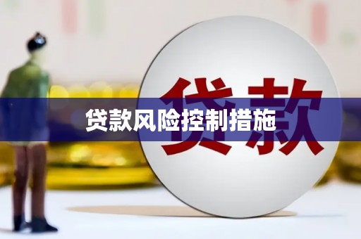 青河贷款风险控制措施
