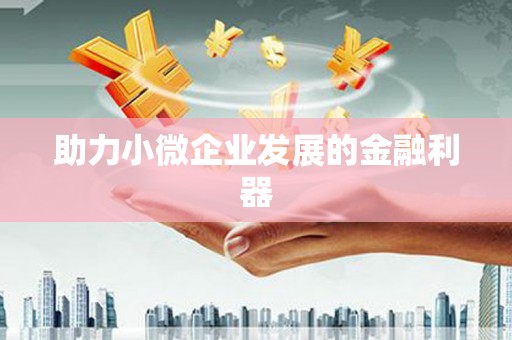 青河助力小微企业发展的金融利器