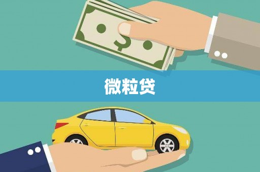 青河微粒贷
