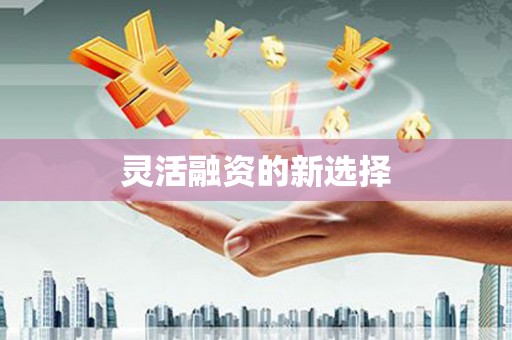 青河灵活融资的新选择