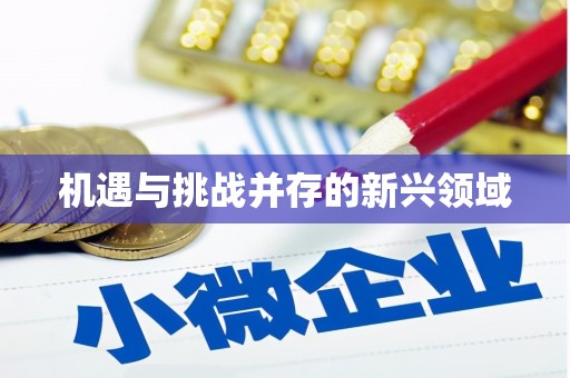 青河机遇与挑战并存的新兴领域