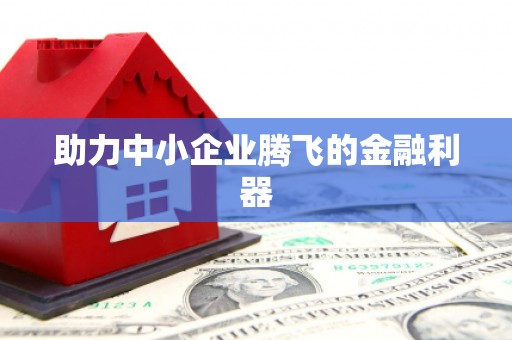青河助力中小企业腾飞的金融利器