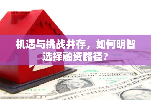 青河机遇与挑战并存，如何明智选择融资路径？